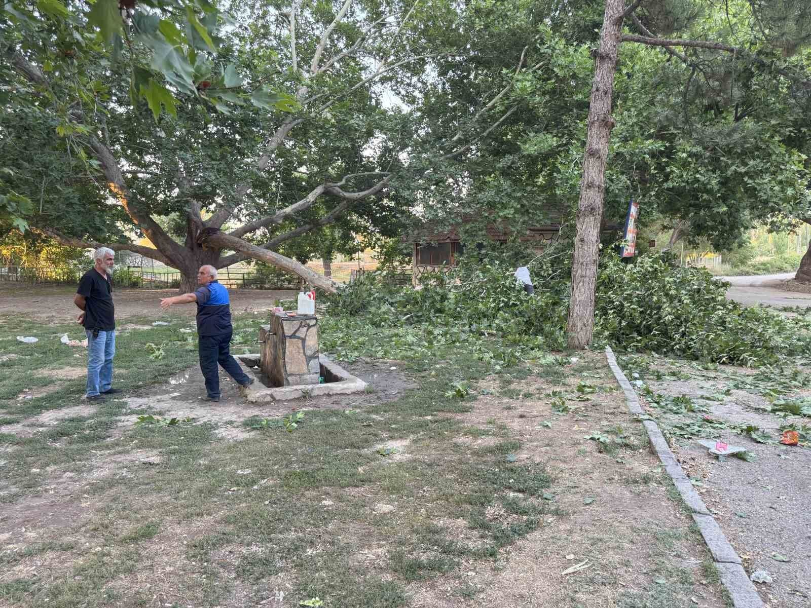 Piknik alanında ağacın dalı vatandaşların üzerine devrildi: 11 yaralı