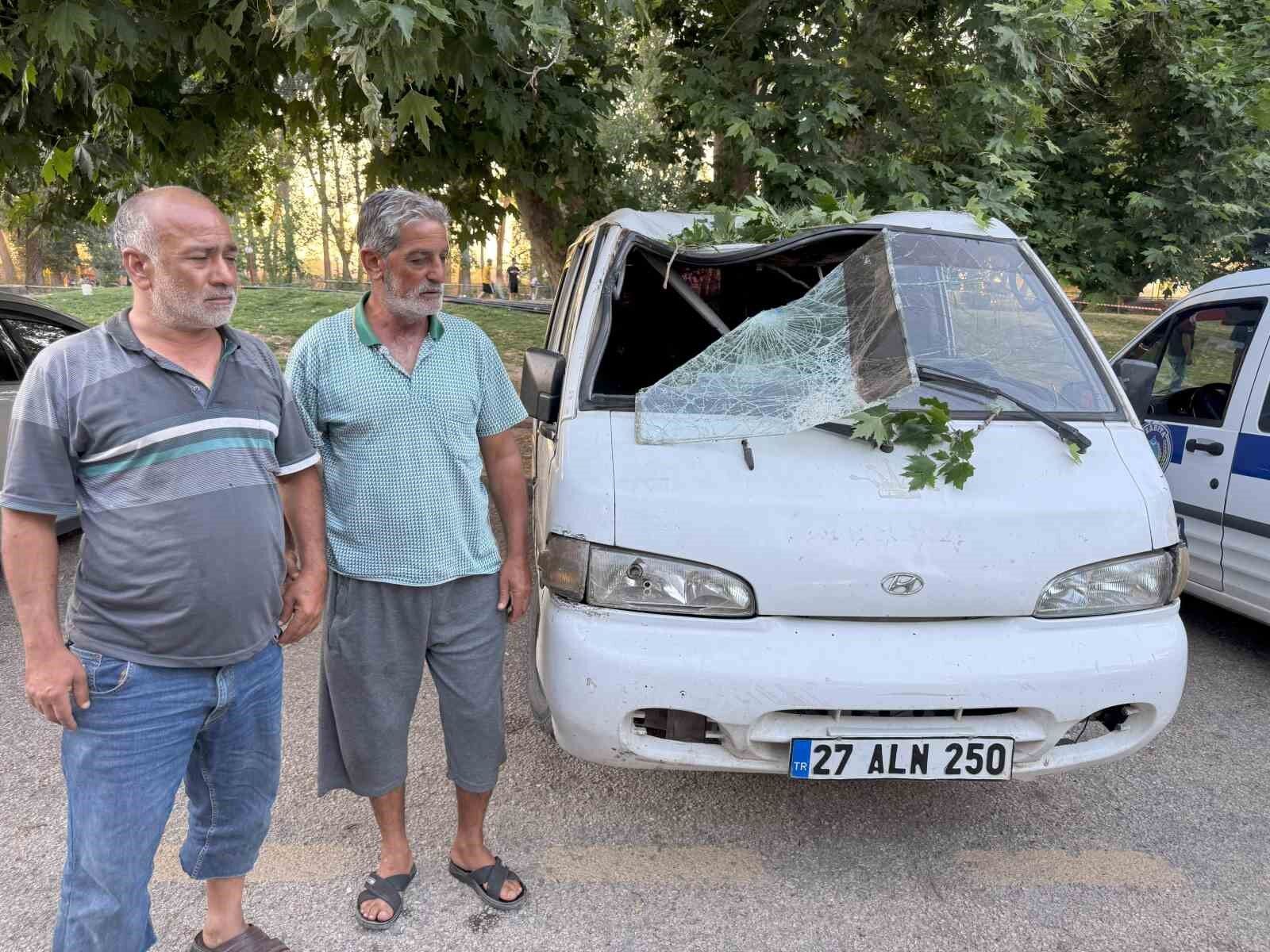 Piknik alanında ağacın dalı vatandaşların üzerine devrildi: 11 yaralı