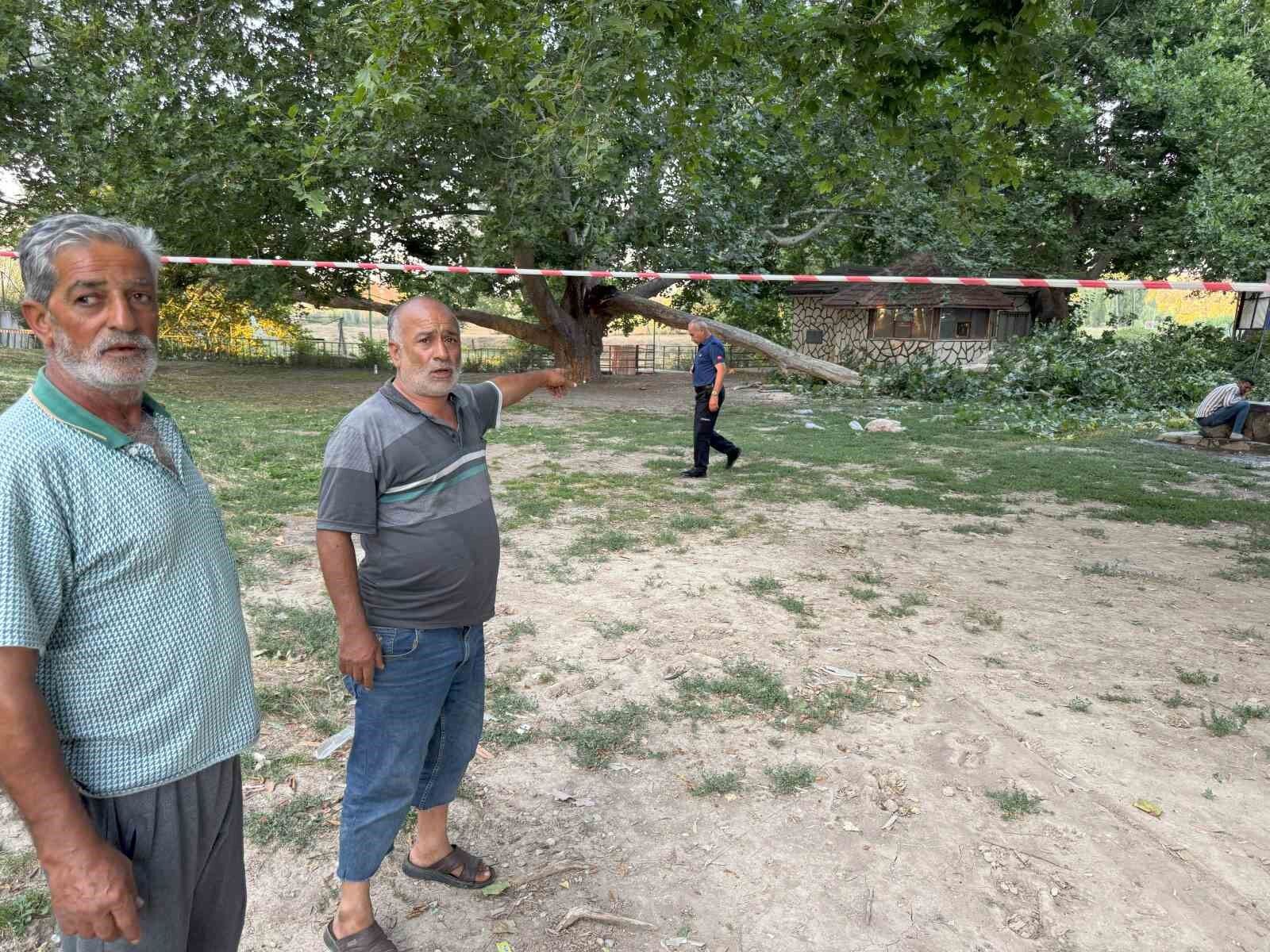 Piknik alanında ağacın dalı vatandaşların üzerine devrildi: 11 yaralı