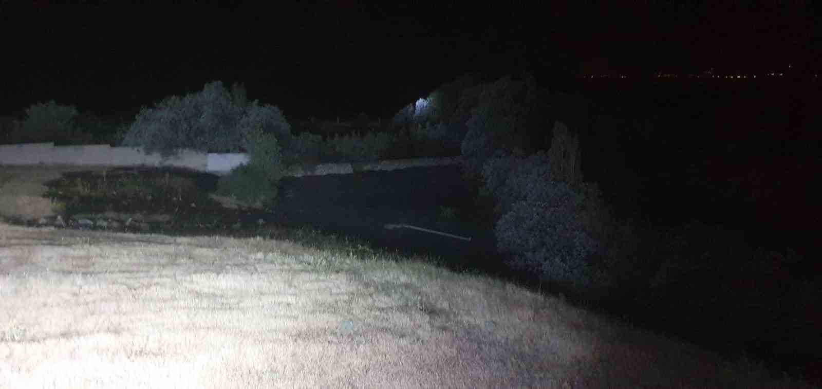 Van’da ağaçlık alanda yangın