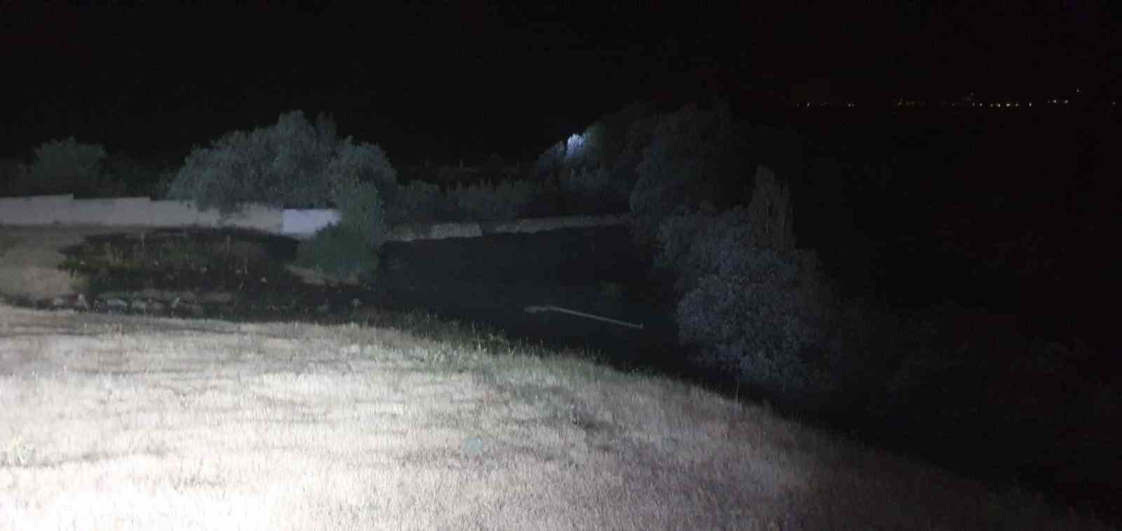 Van’da ağaçlık alanda yangın