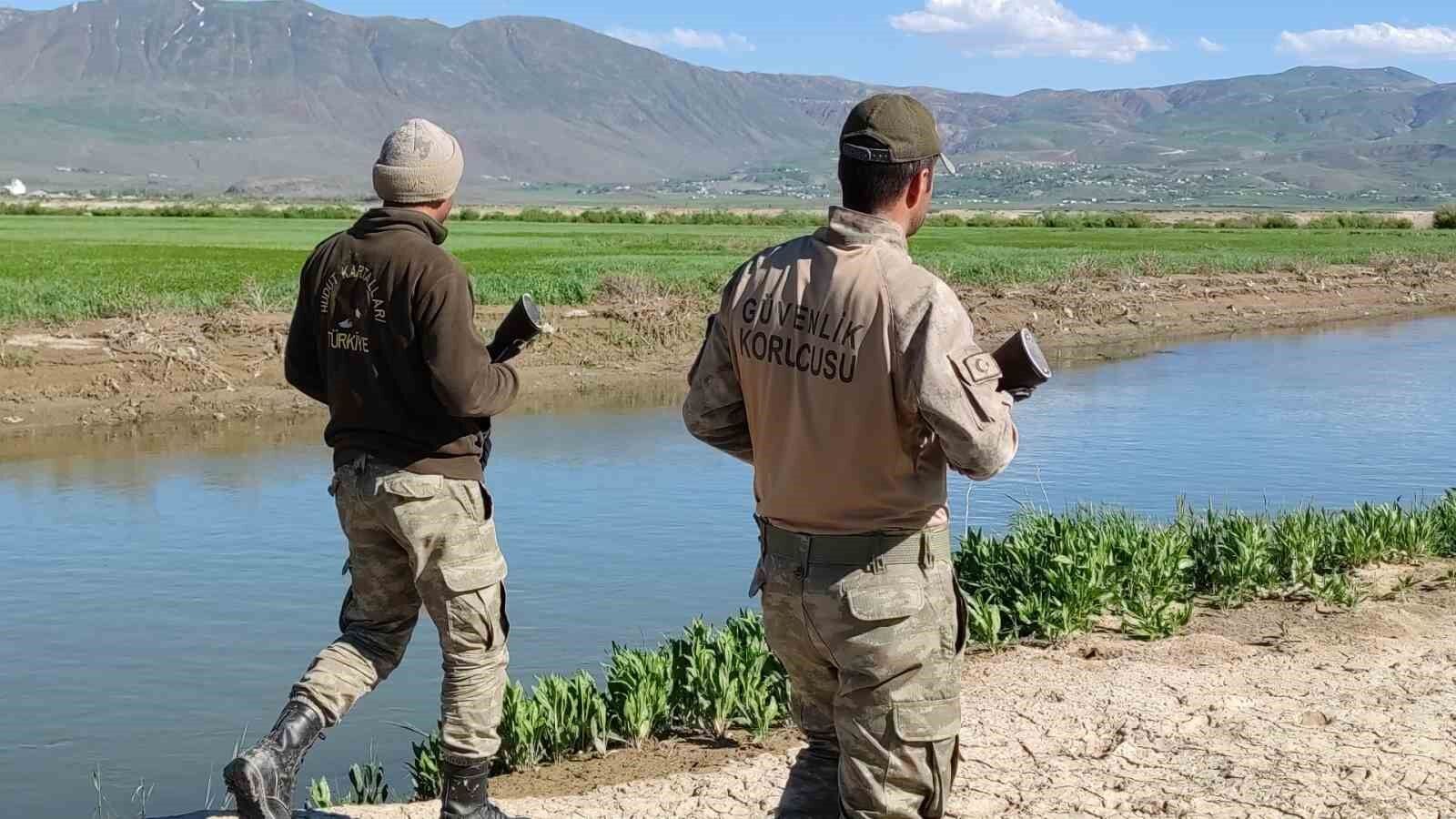 Van’da 3 aylık süreçte kaçak avlanan 78 ton inci kefaline el konuldu