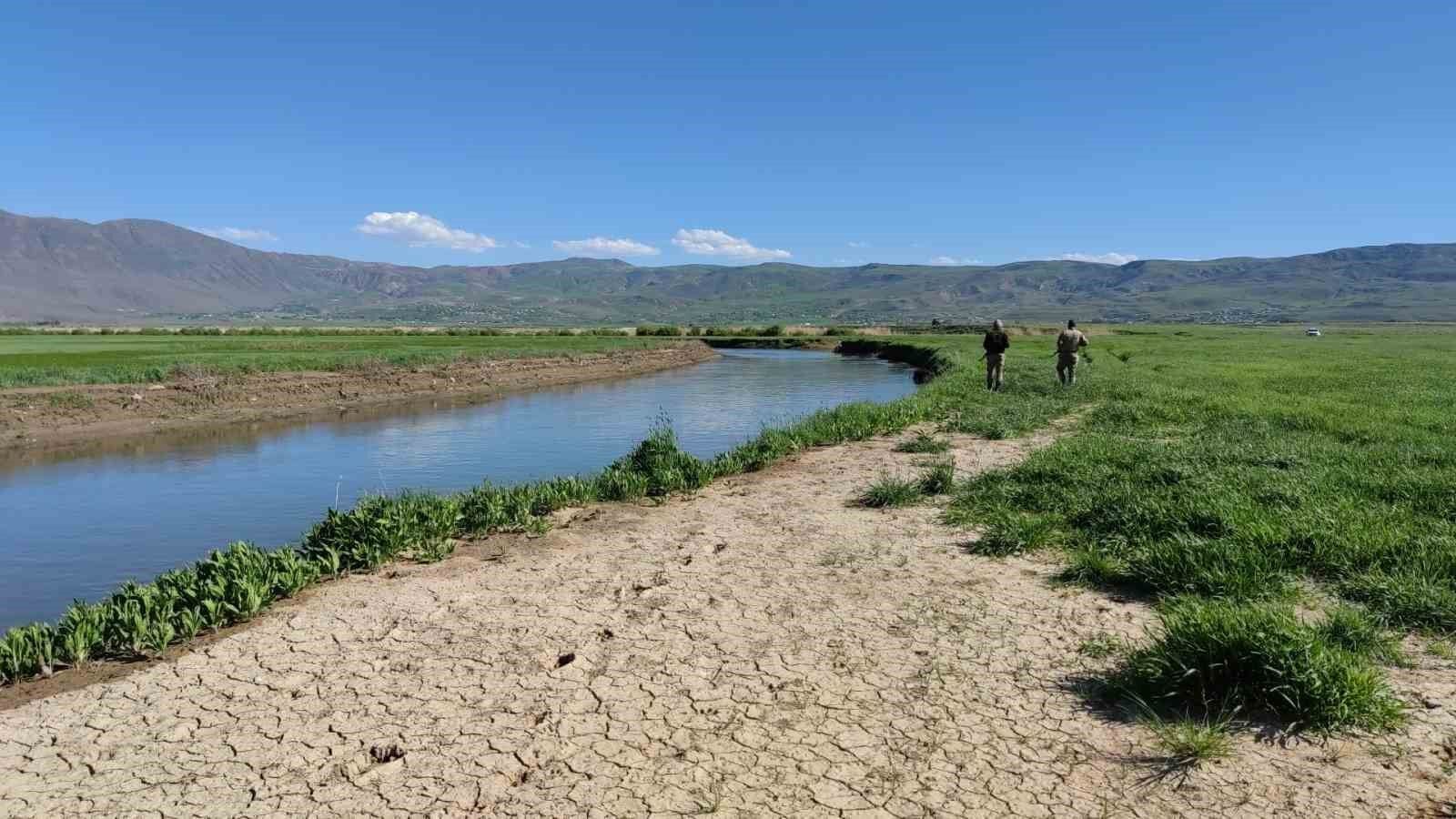Van’da 3 aylık süreçte kaçak avlanan 78 ton inci kefaline el konuldu