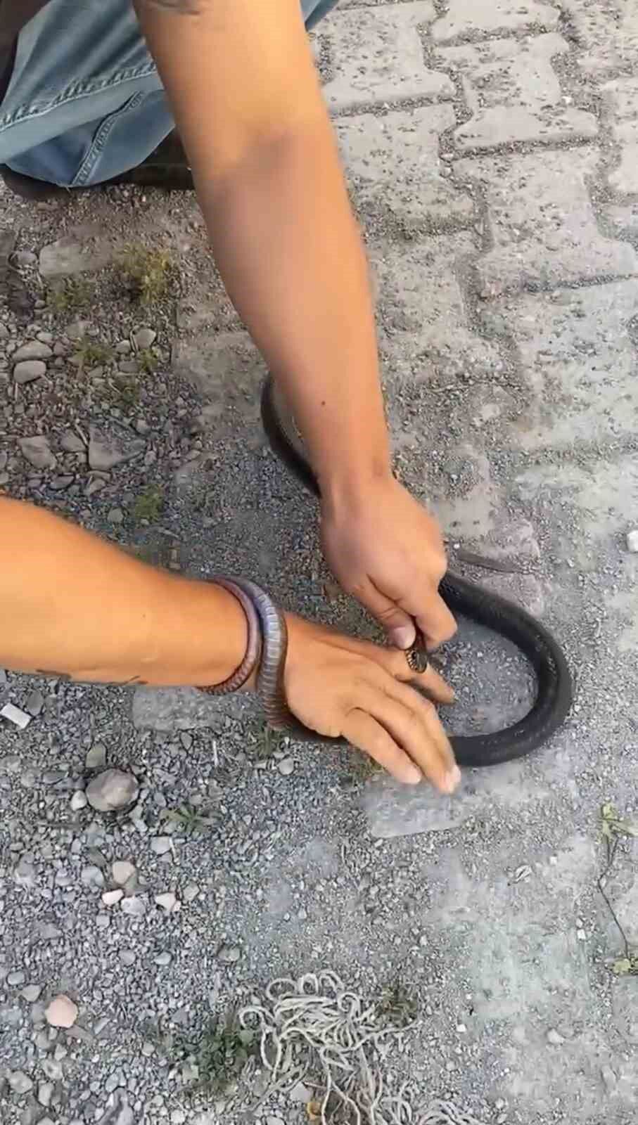 Eve giren yılanı yakalamak isterken parmağını kaptırdı