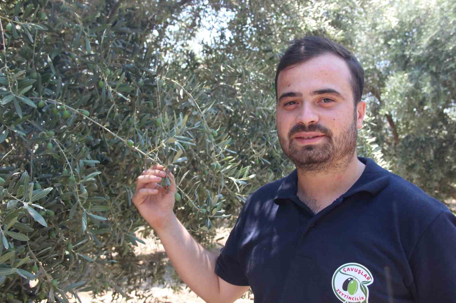 Hem hastalıklardan kurtuldular hem verimi artırdılar