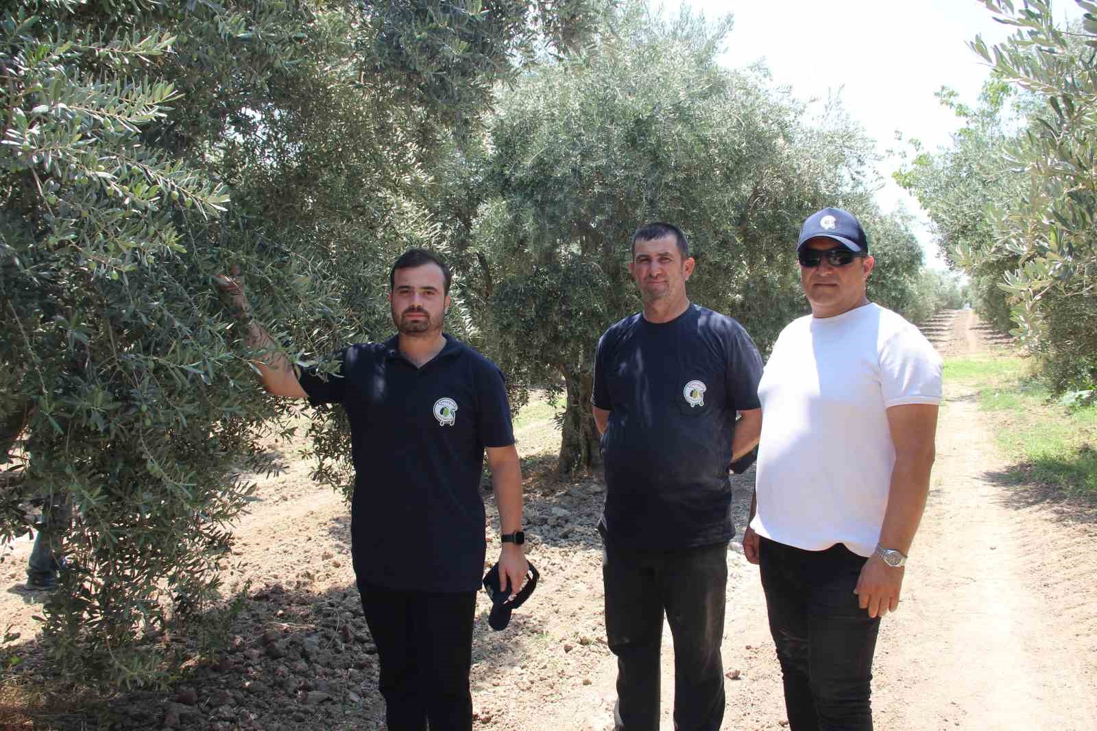 Hem hastalıklardan kurtuldular hem verimi artırdılar