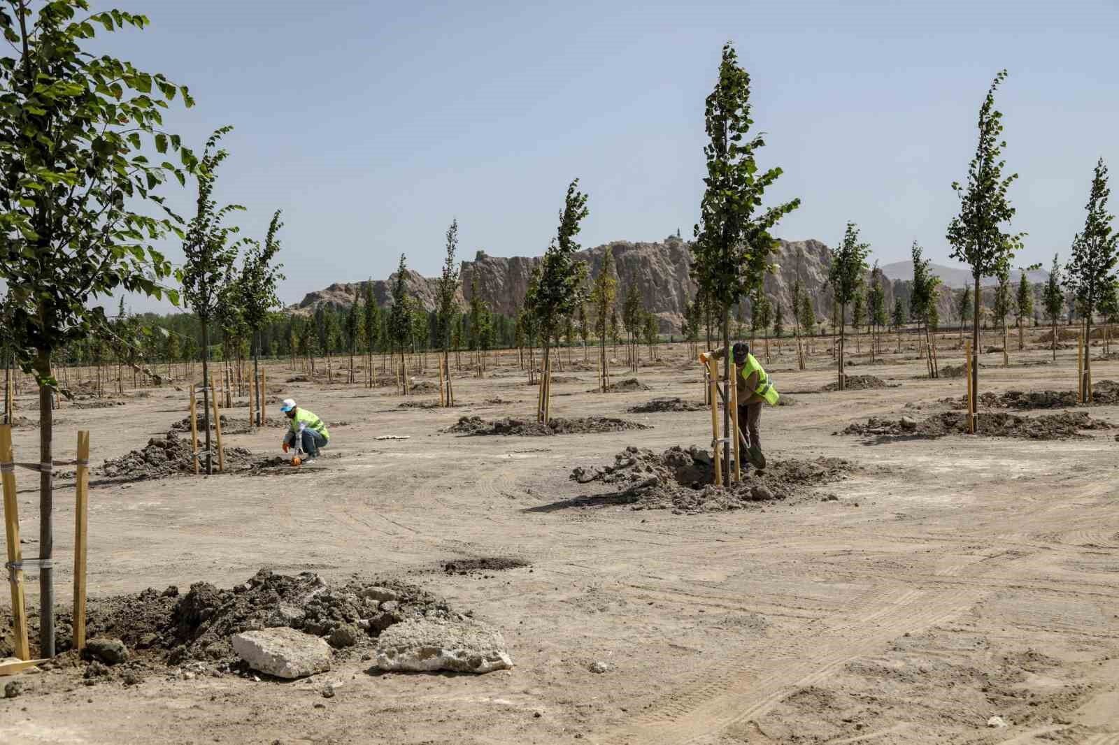 Van Büyükşehir Belediyesi Ihlamur Parkı’yla kente renk katacak