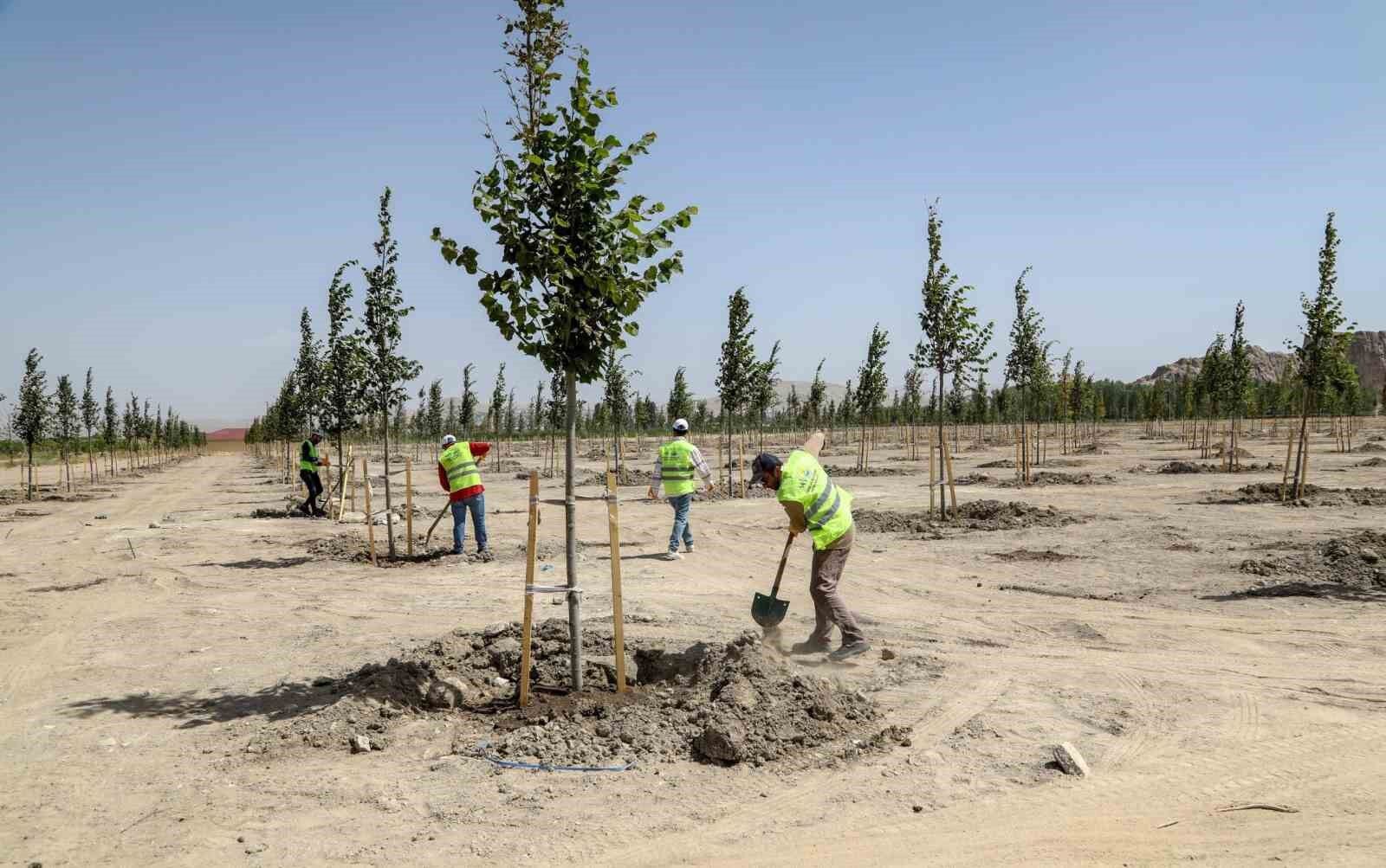 Van Büyükşehir Belediyesi Ihlamur Parkı’yla kente renk katacak