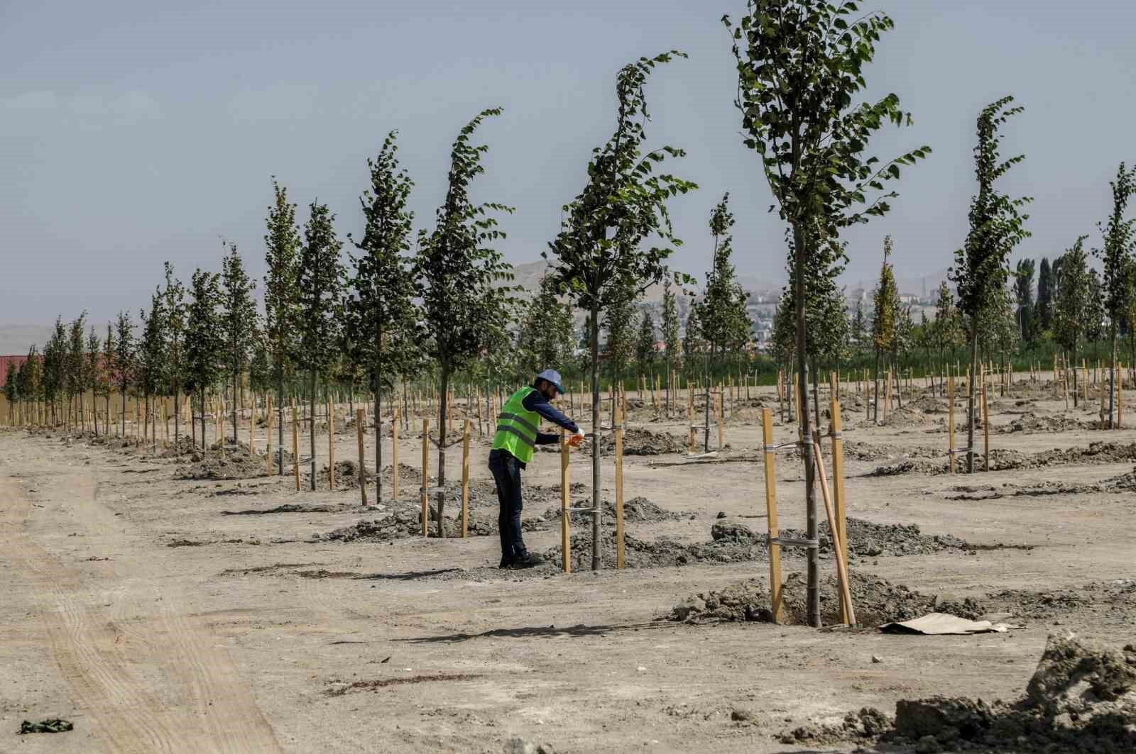 Van Büyükşehir Belediyesi Ihlamur Parkı’yla kente renk katacak