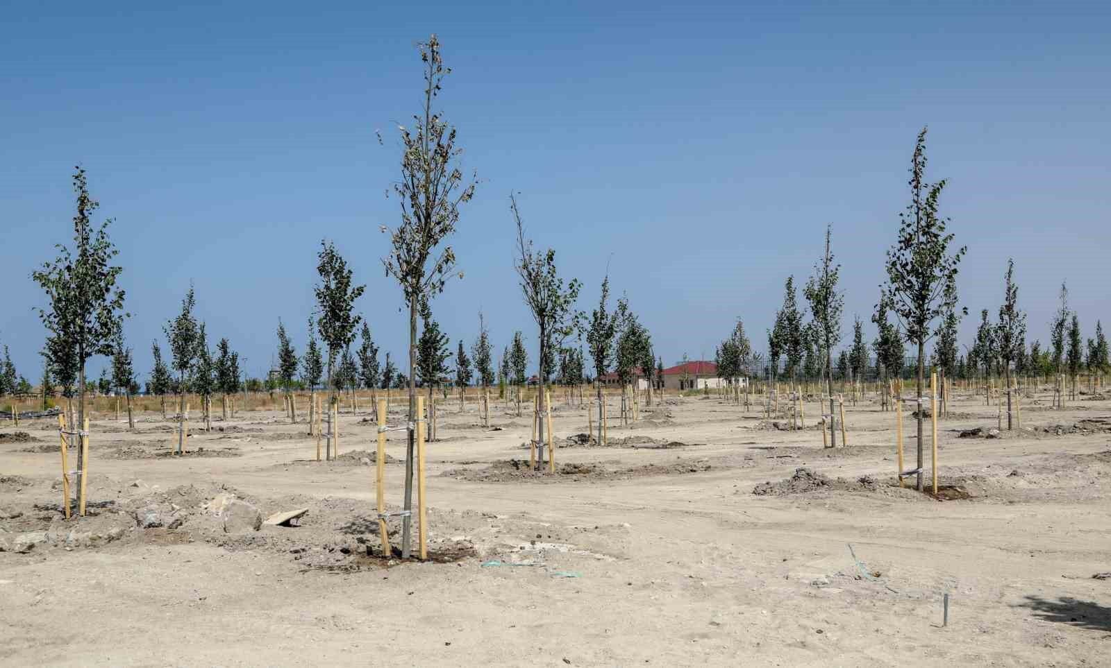 Van Büyükşehir Belediyesi Ihlamur Parkı’yla kente renk katacak