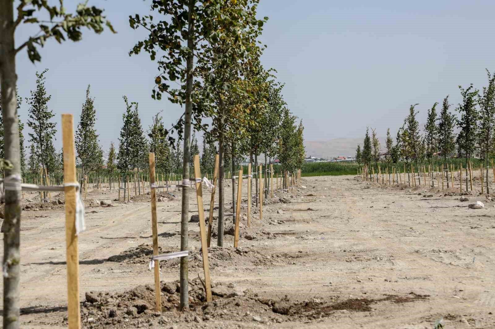 Van Büyükşehir Belediyesi Ihlamur Parkı’yla kente renk katacak