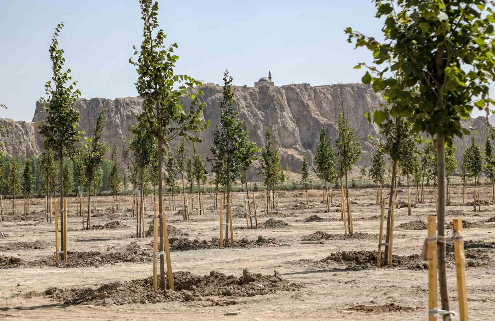 Van Büyükşehir Belediyesi Ihlamur Parkı’yla kente renk katacak