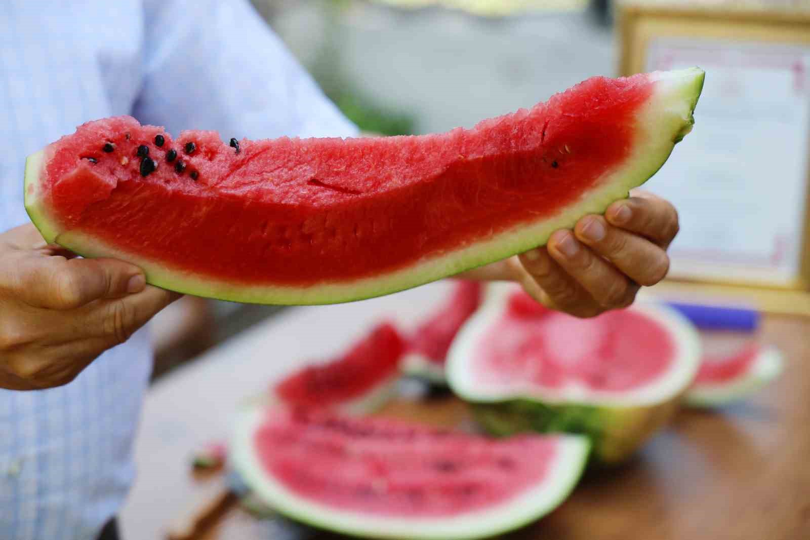 Sosyal medyadaki karpuz tartışmalarına Adana’dan cevap
