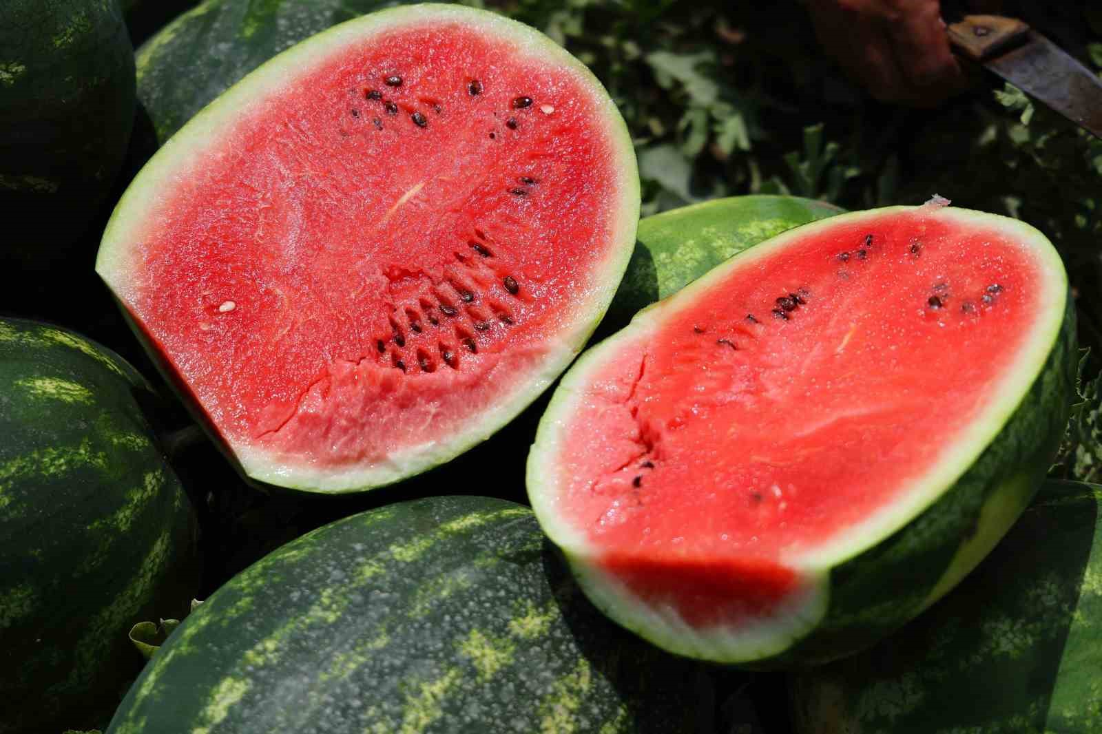 Sosyal medyadaki karpuz tartışmalarına Adana’dan cevap