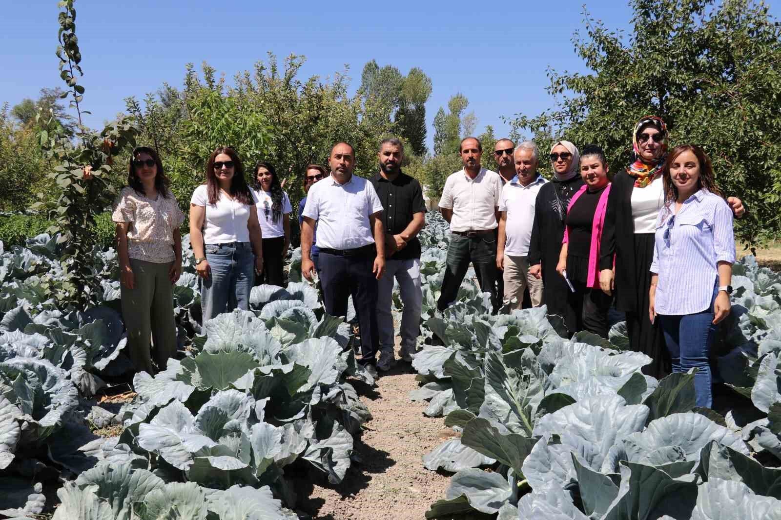Modern basınçlı sulama sistemiyle hem işçilikten hem de verimden kazandı