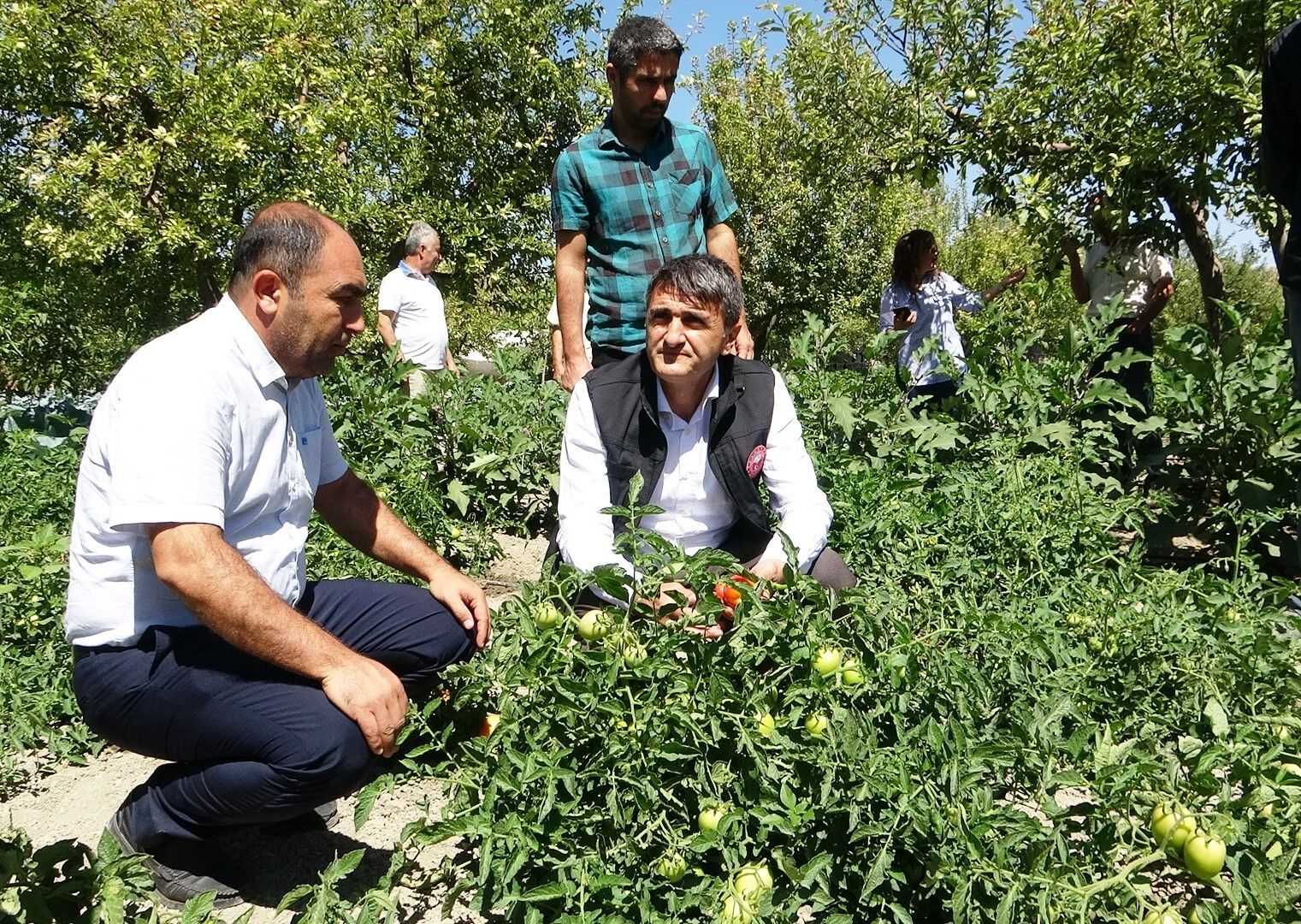 Modern basınçlı sulama sistemiyle hem işçilikten hem de verimden kazandı