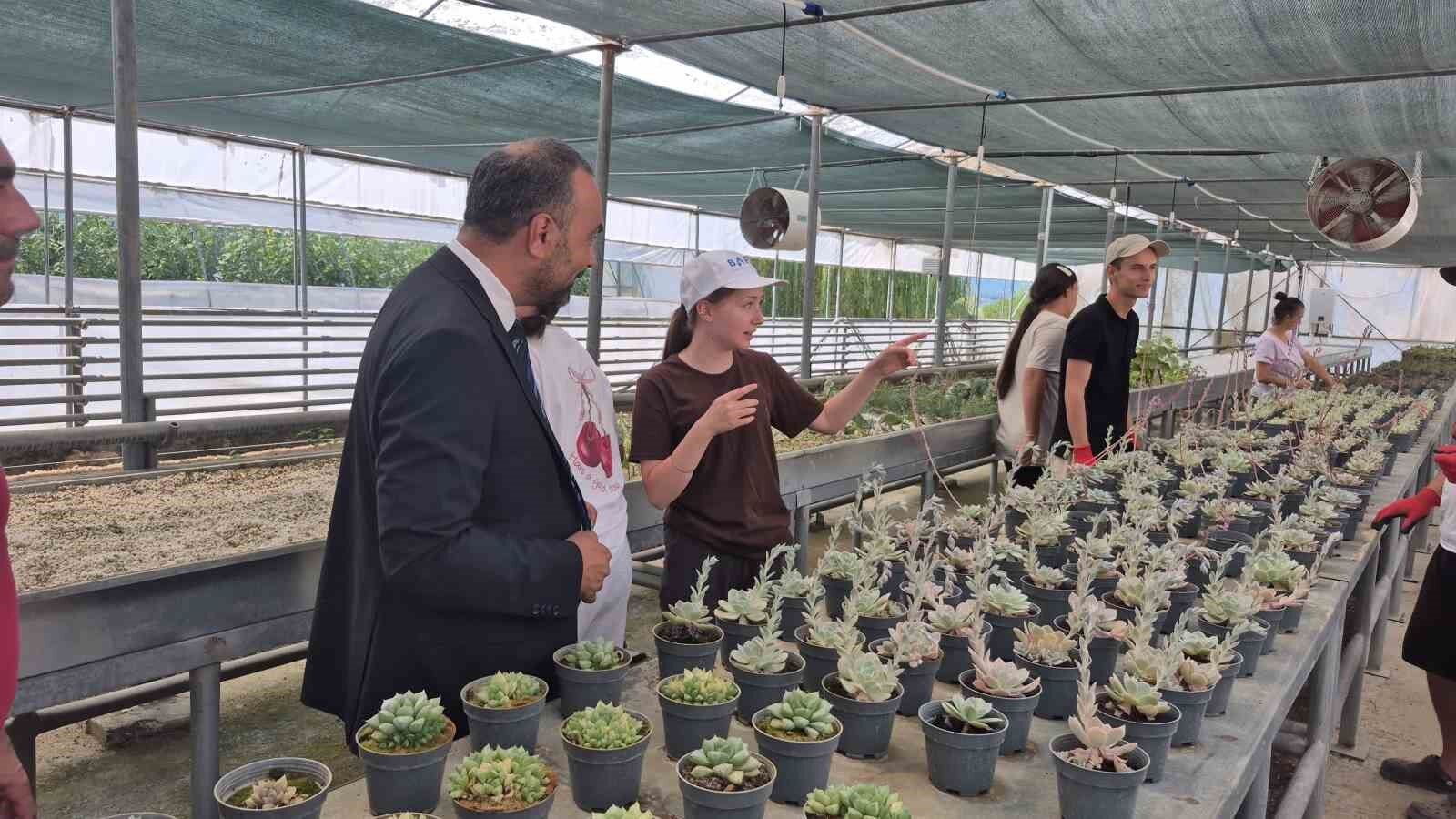 Doğal afetlere akıllı sera ile çözüm