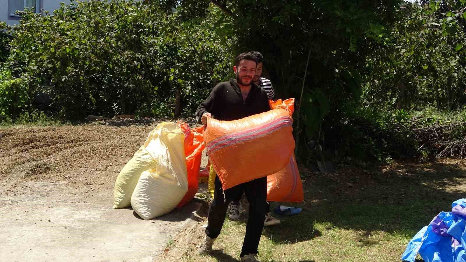 Fındıkta patoz mesaisi başladı: Saatlik ücreti 4 bin 500 TL