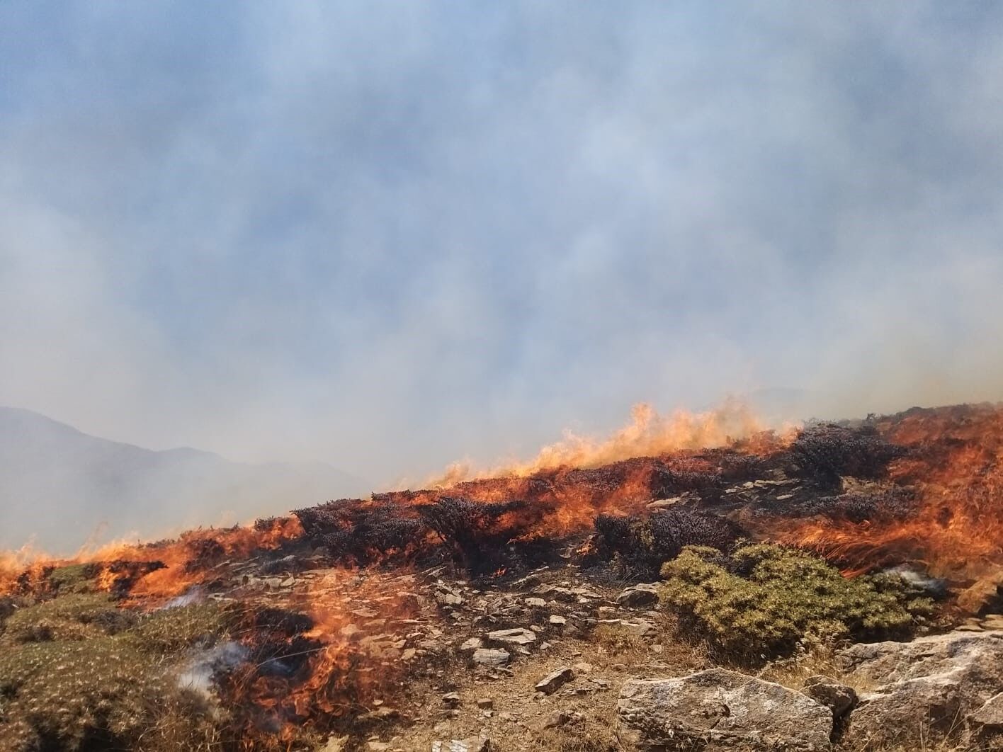 Bahçesaray’da arazi yangını