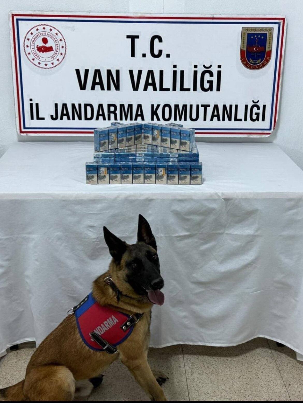 Van’da gümrük kaçakçılığı operasyonu