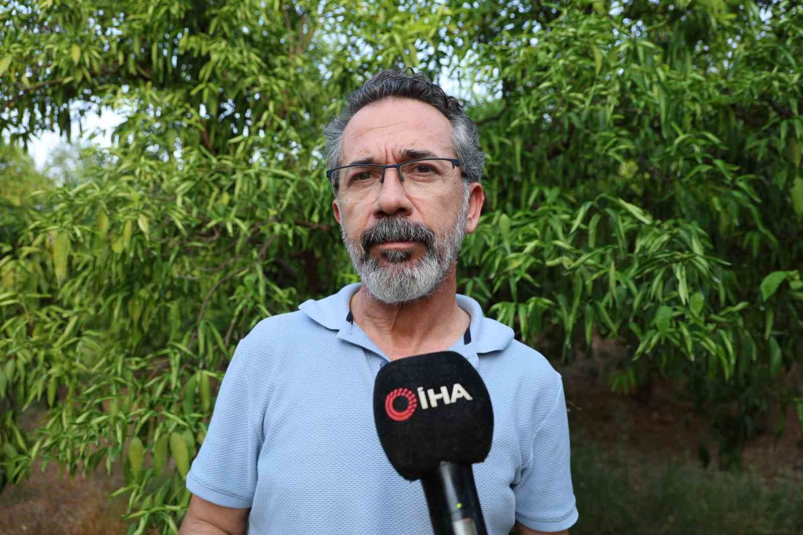 Kuraklık narenciye bahçelerini tehdit etmeye başladı