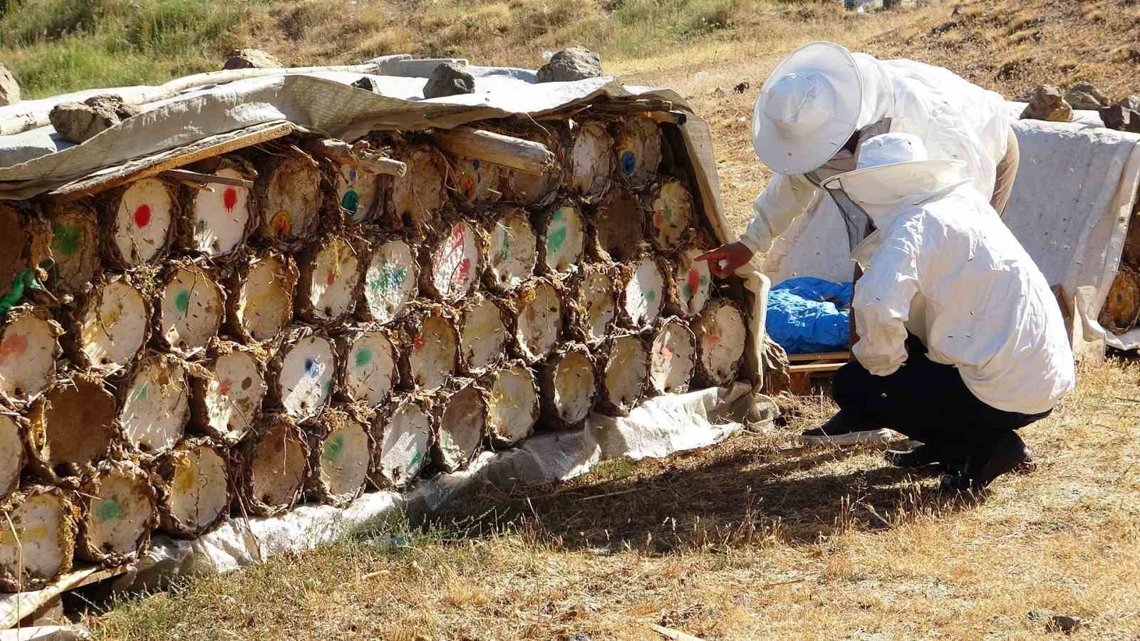 Küresel ısınma arıcıları tedirgin ediyor