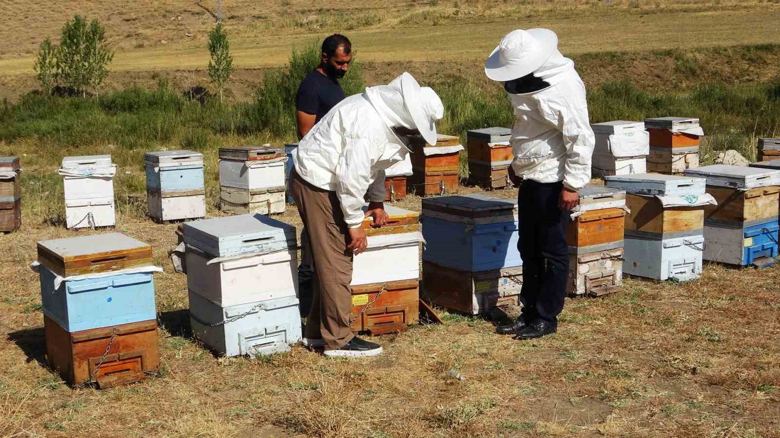 Küresel ısınma arıcıları tedirgin ediyor
