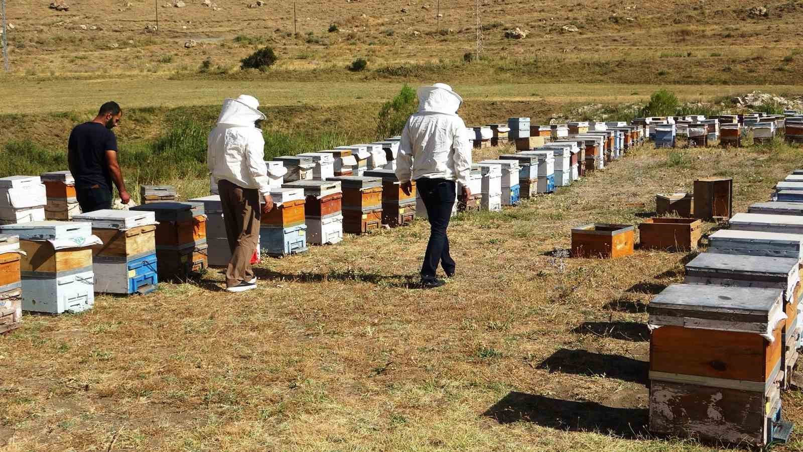 Küresel ısınma arıcıları tedirgin ediyor