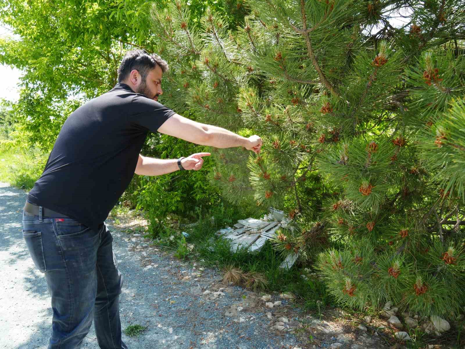 Bu proje astım hastası ve polen alerjisi olanların hayatını kolaylaştırıyor