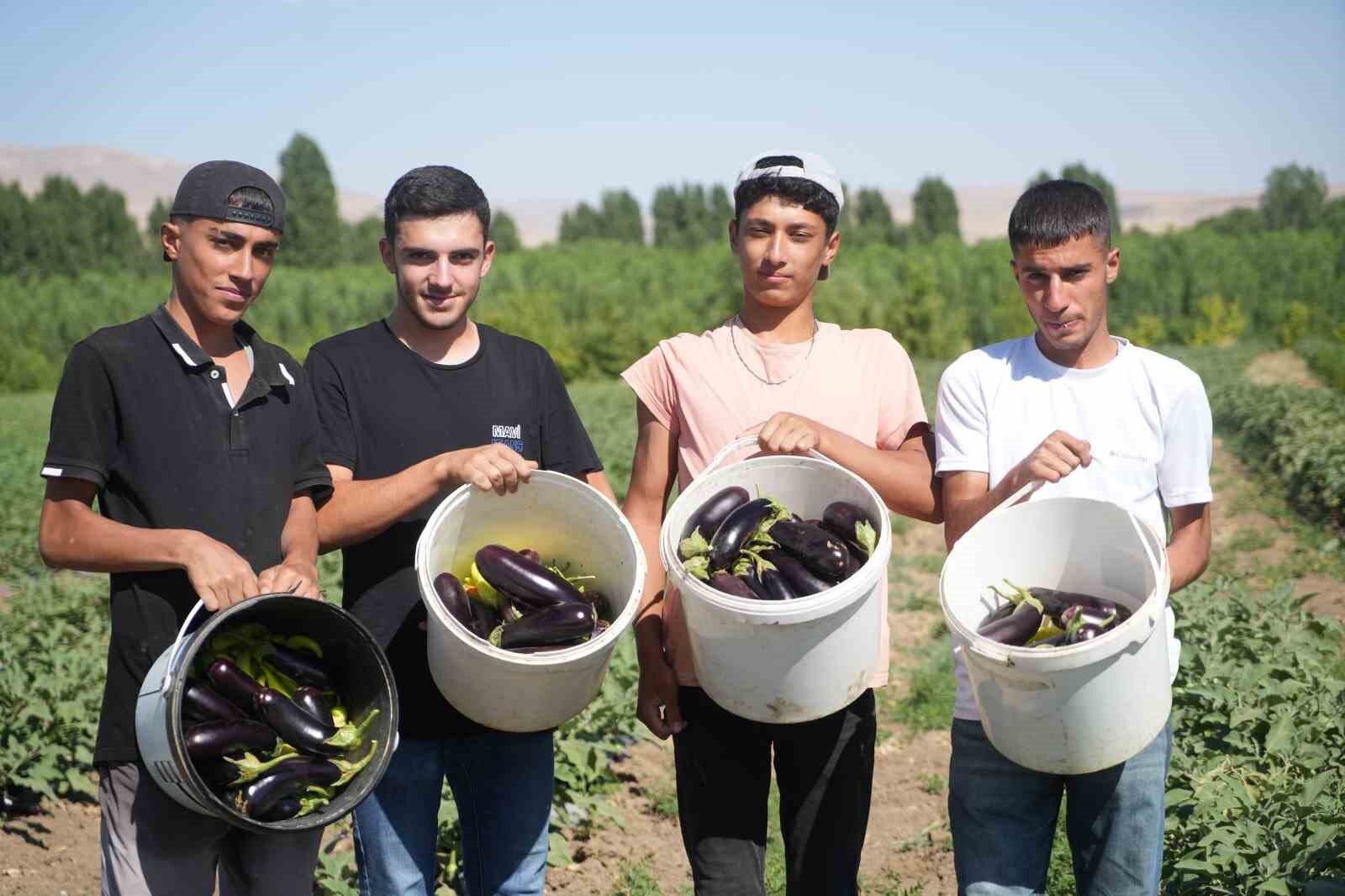 Muş’ta 40 derece sıcakta 