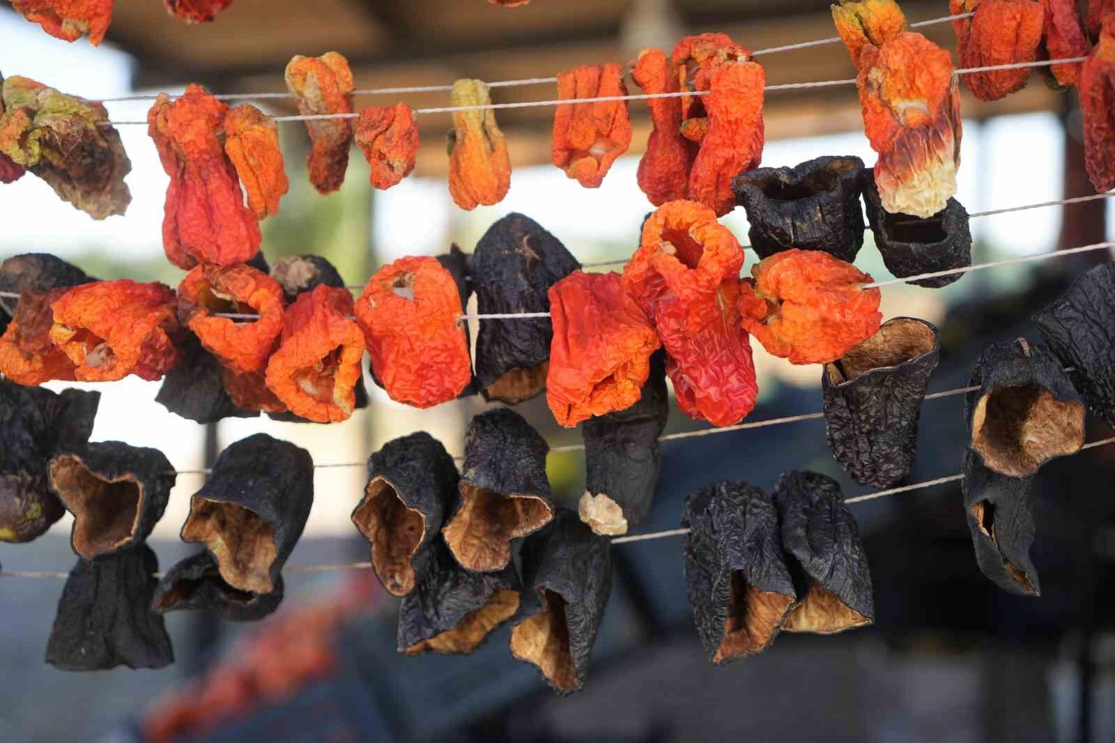 Muş’ta 40 derece sıcakta 