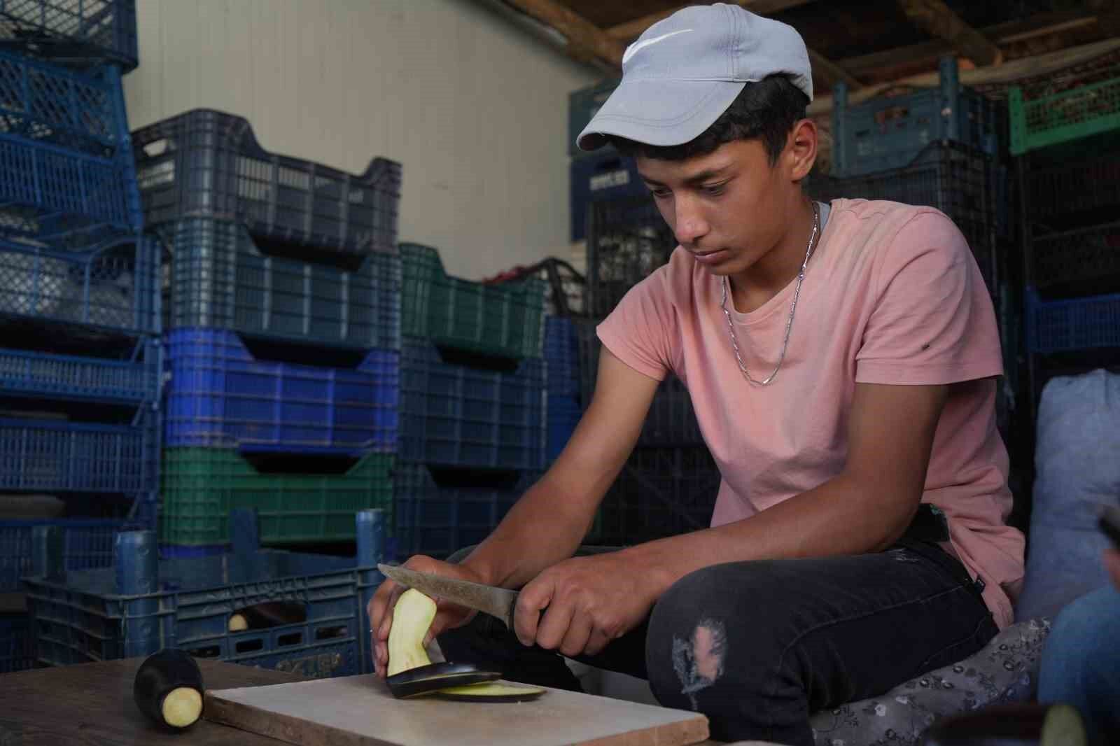 Muş’ta 40 derece sıcakta 