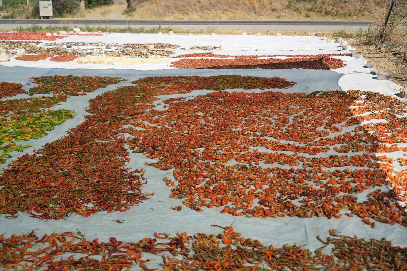 Muş’ta 40 derece sıcakta 