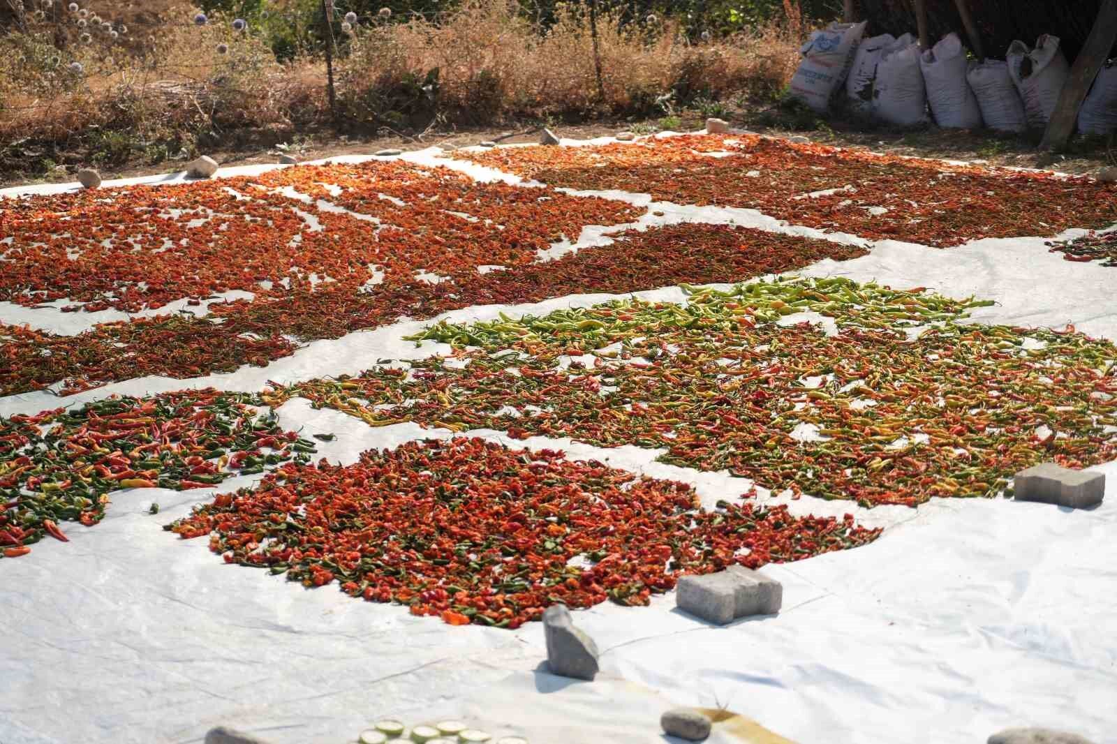 Muş’ta 40 derece sıcakta 