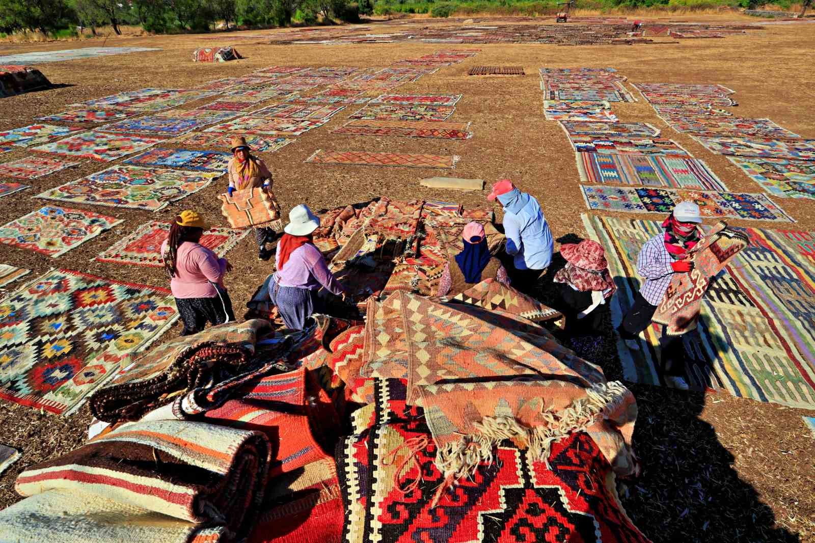 Antalya’da buğday tarlalarında halı hasatı başladı