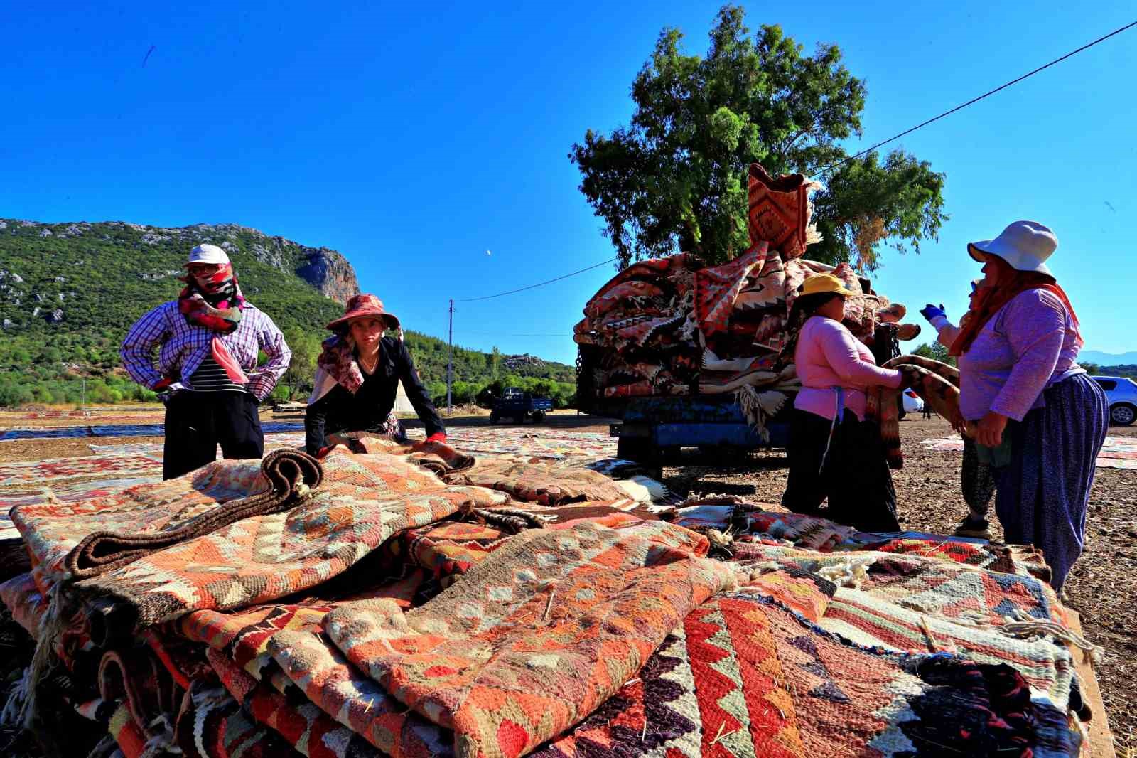 Antalya’da buğday tarlalarında halı hasatı başladı
