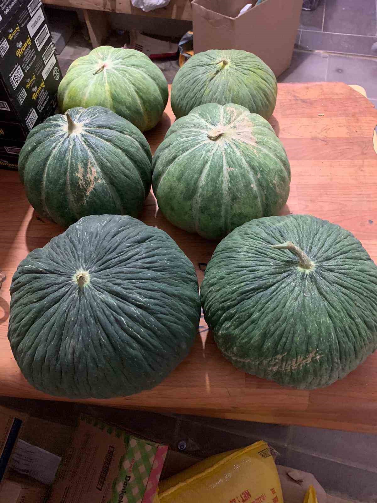 Dededen kalan tohumla 