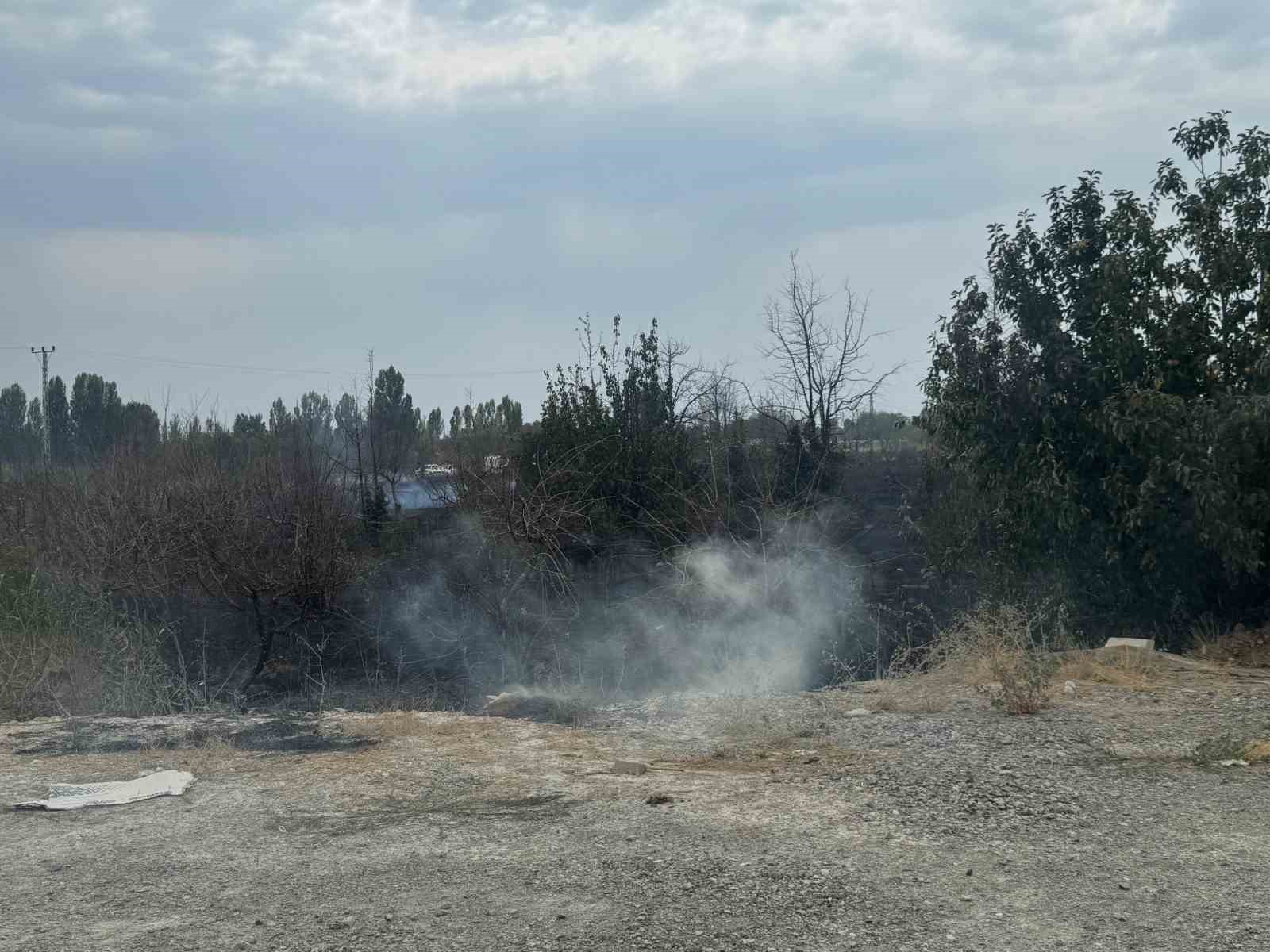 Van YYÜ kampüsünde arazi yangını