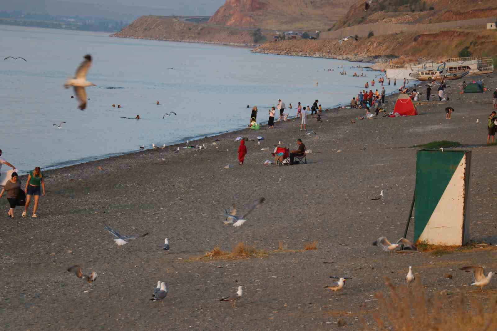 Sıcaktan bunalanlar Van Gölü’nde yüzerek serinliyor