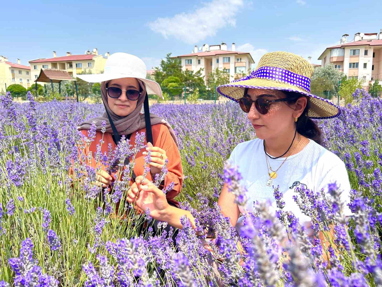 Van YYÜ’de 10 yılda 300 tür bitki yetiştirildi