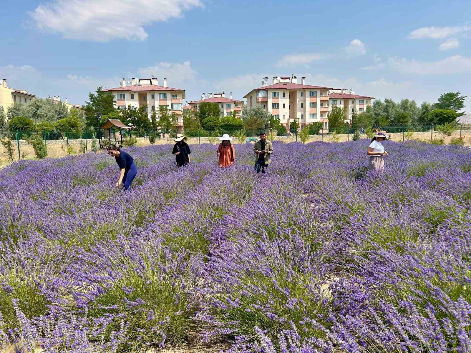 Van YYÜ’de 10 yılda 300 tür bitki yetiştirildi