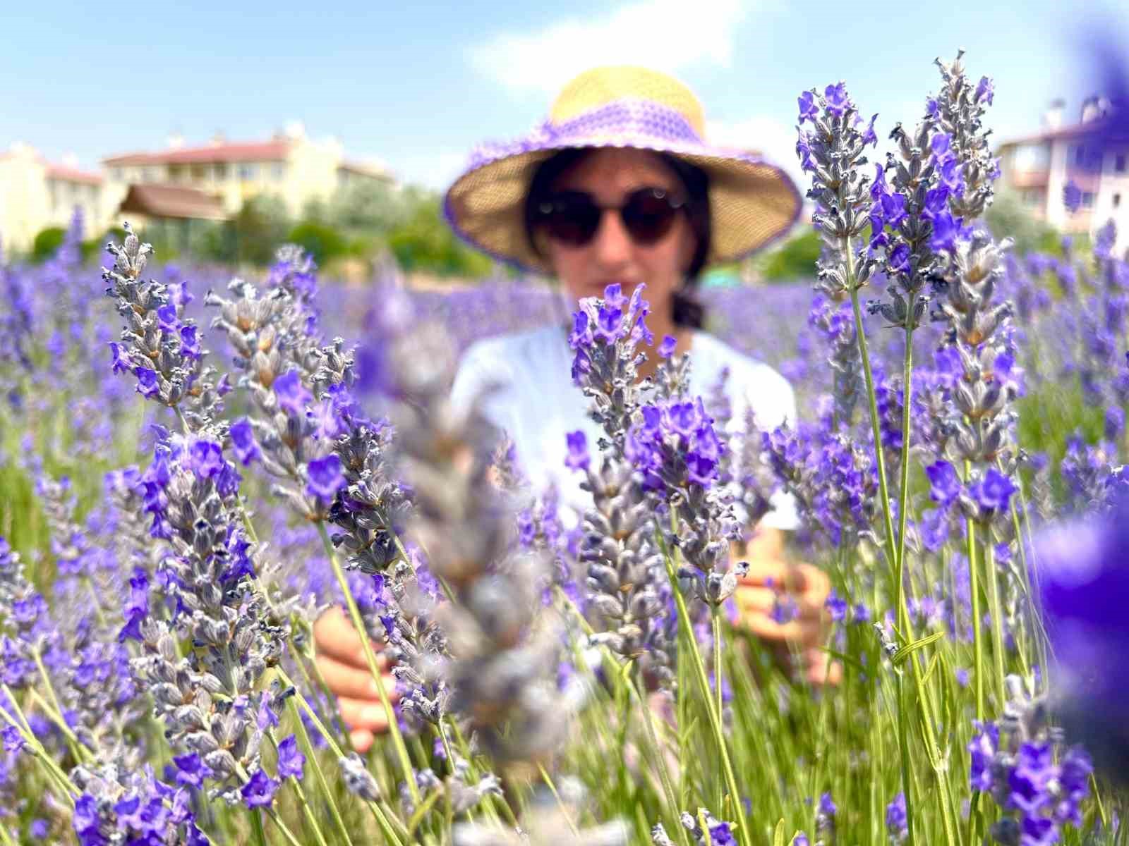 Van YYÜ’de 10 yılda 300 tür bitki yetiştirildi