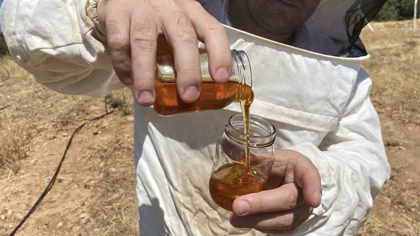 Eskişehir’de 2 bin 925 prolin değeri ile dünyanın en iyi balını üretti