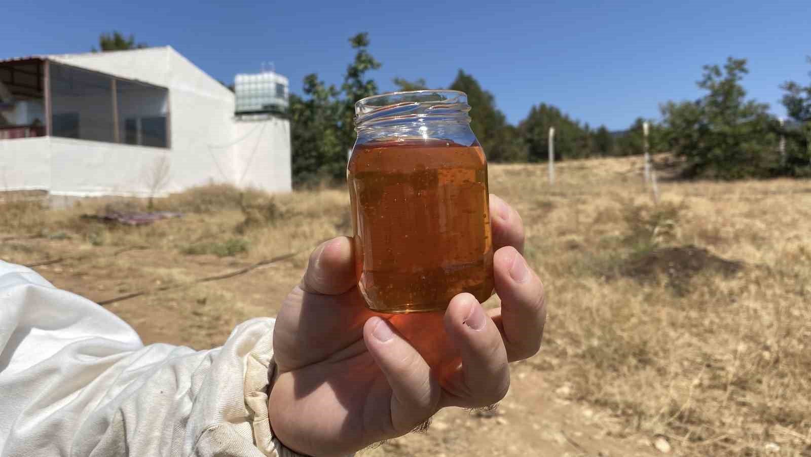 Eskişehir’de 2 bin 925 prolin değeri ile dünyanın en iyi balını üretti