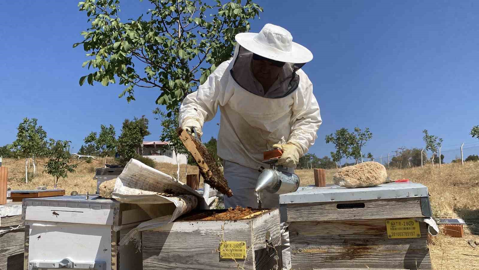 Eskişehir’de 2 bin 925 prolin değeri ile dünyanın en iyi balını üretti
