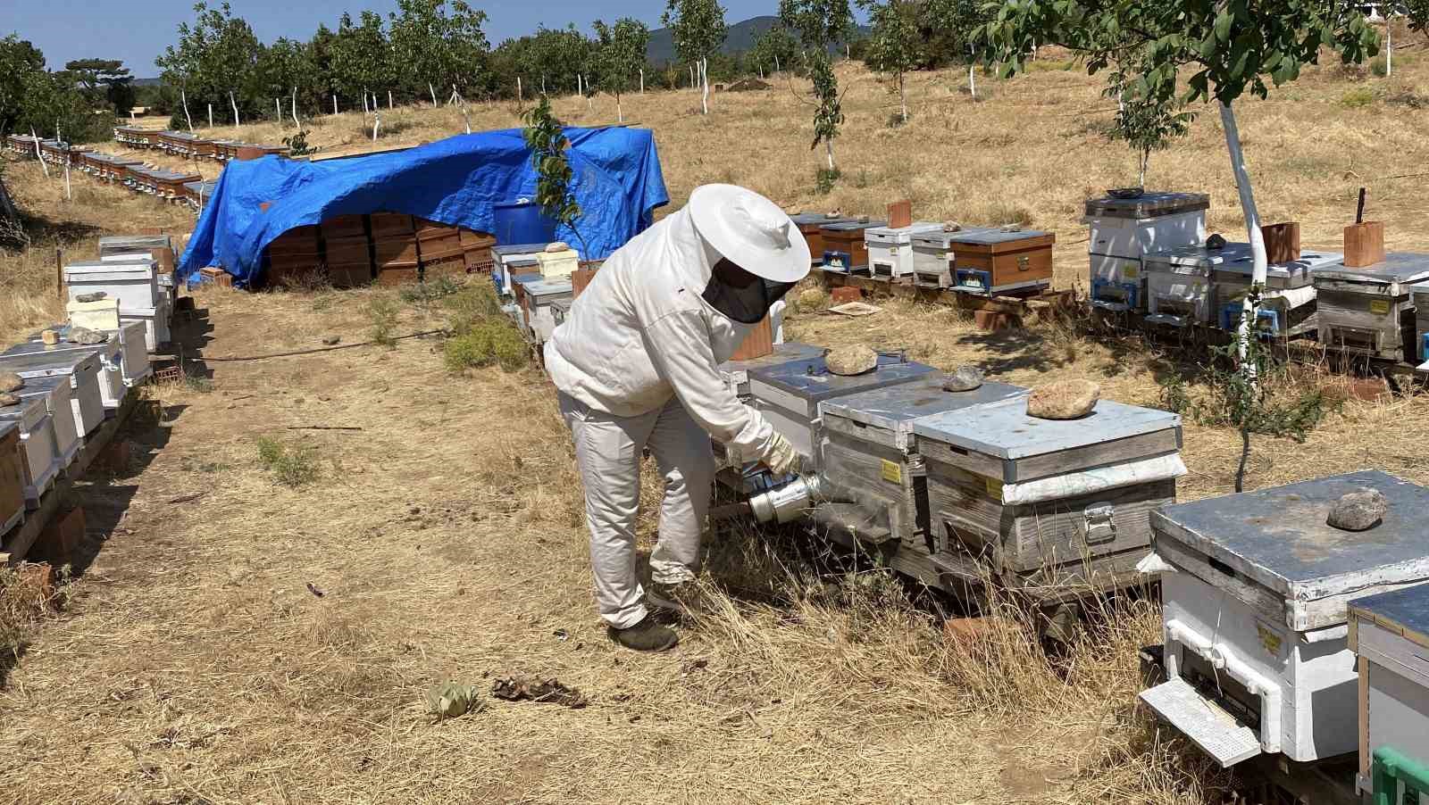 Eskişehir’de 2 bin 925 prolin değeri ile dünyanın en iyi balını üretti