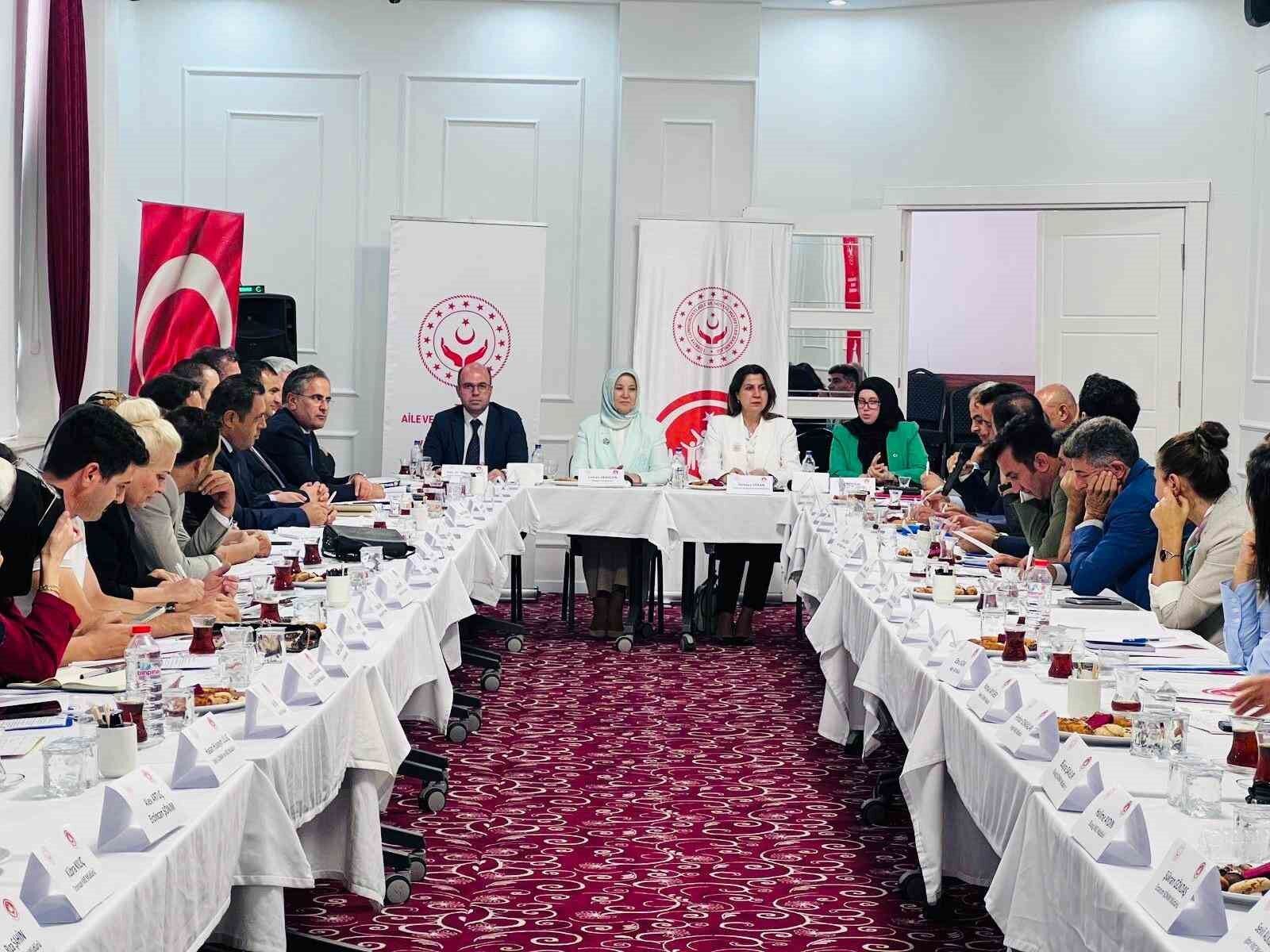 Van’da ‘Kadın Hizmetleri Bölgesel İstişare Toplantısı’ yapıldı