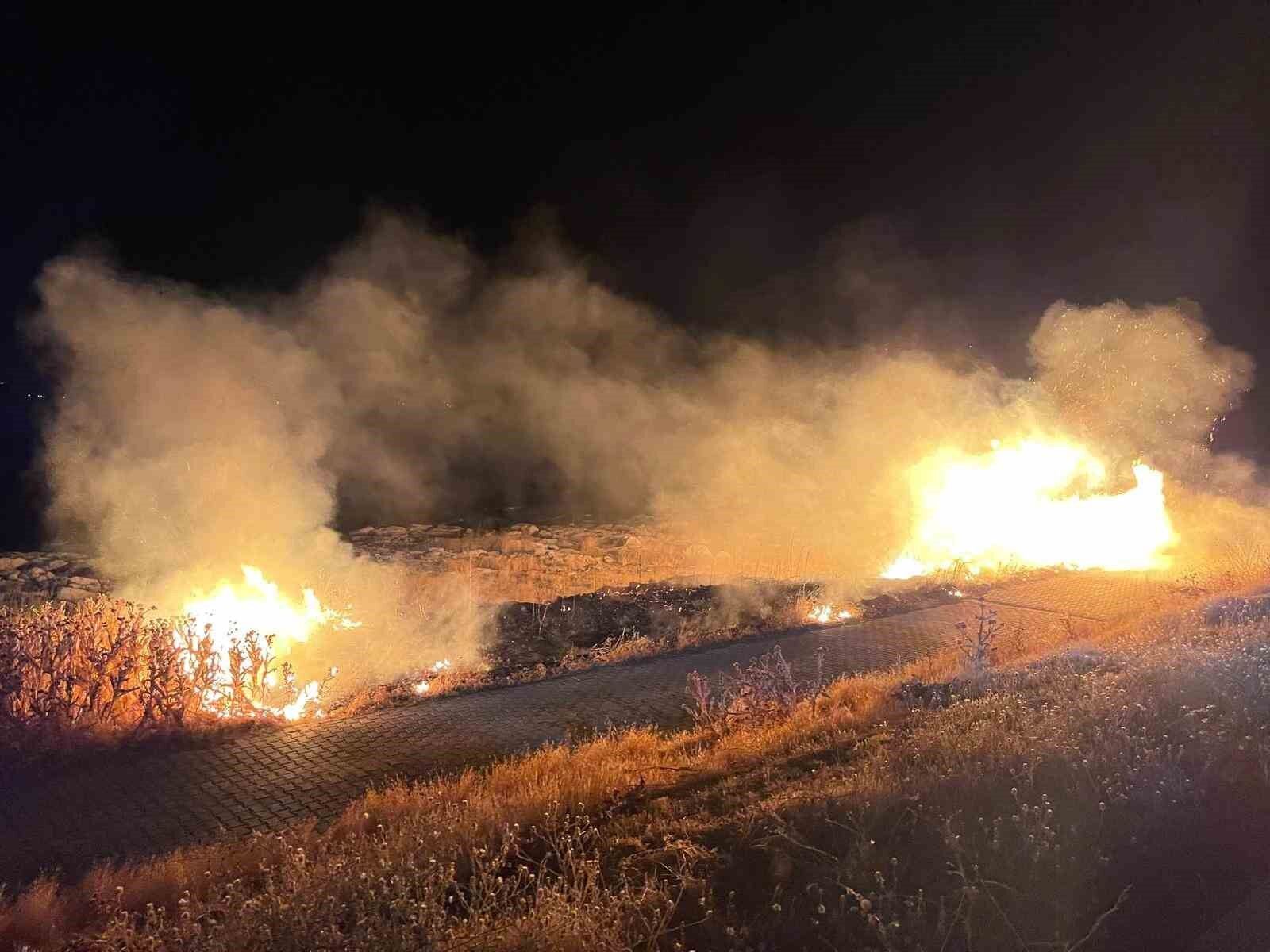 Erciş’te anız yangını