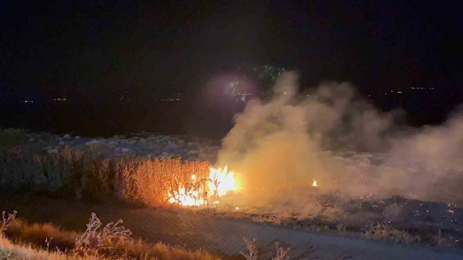 Erciş’te anız yangını