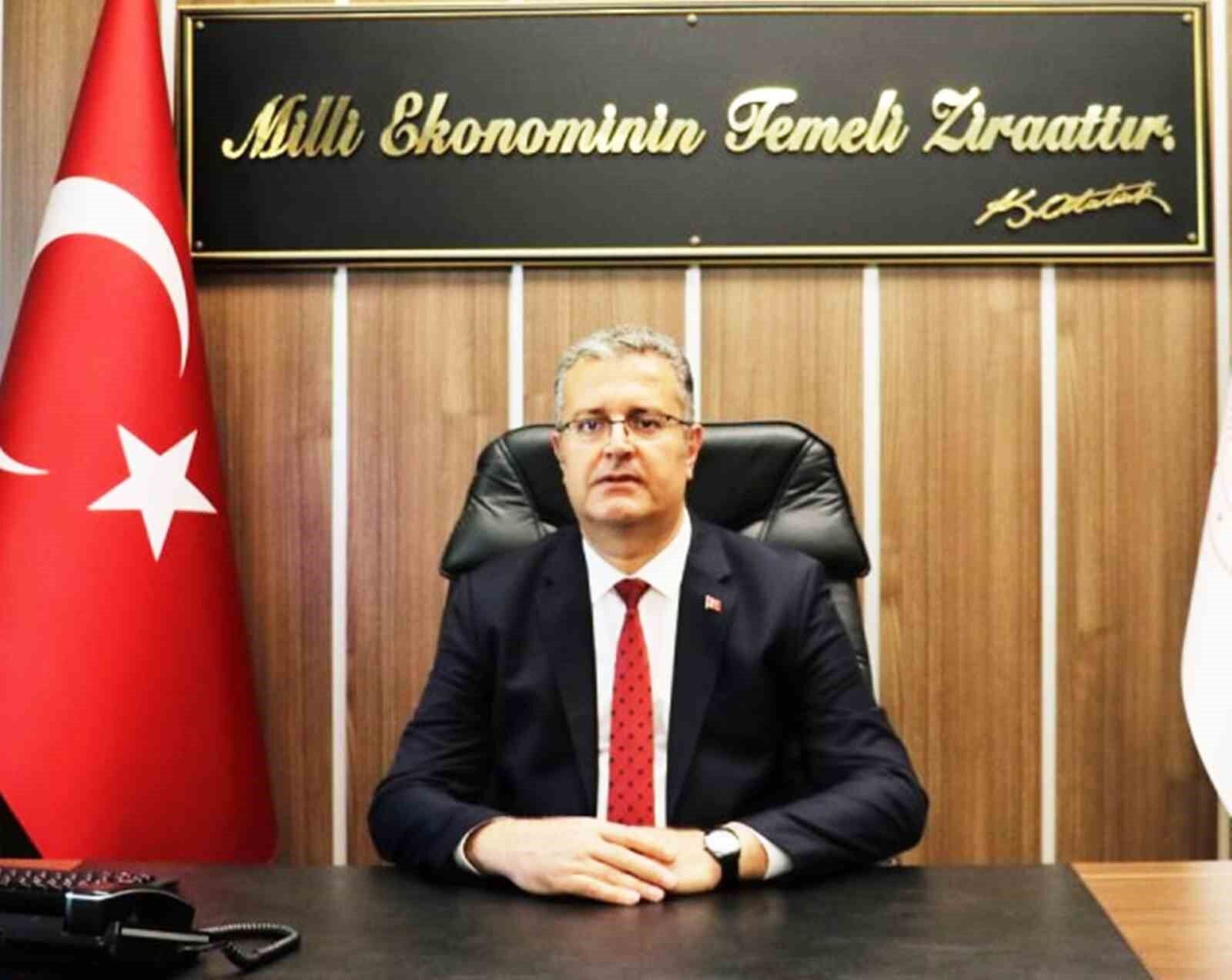 Samsun’da fındık hasadı başladı: File yöntemi maliyeti düşürüyor, kaliteyi artırıyor